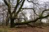 arnhemprrheden_036_small.jpg