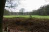 arnhemprrheden_037_small.jpg