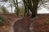 arnhemprrheden_038_small.jpg