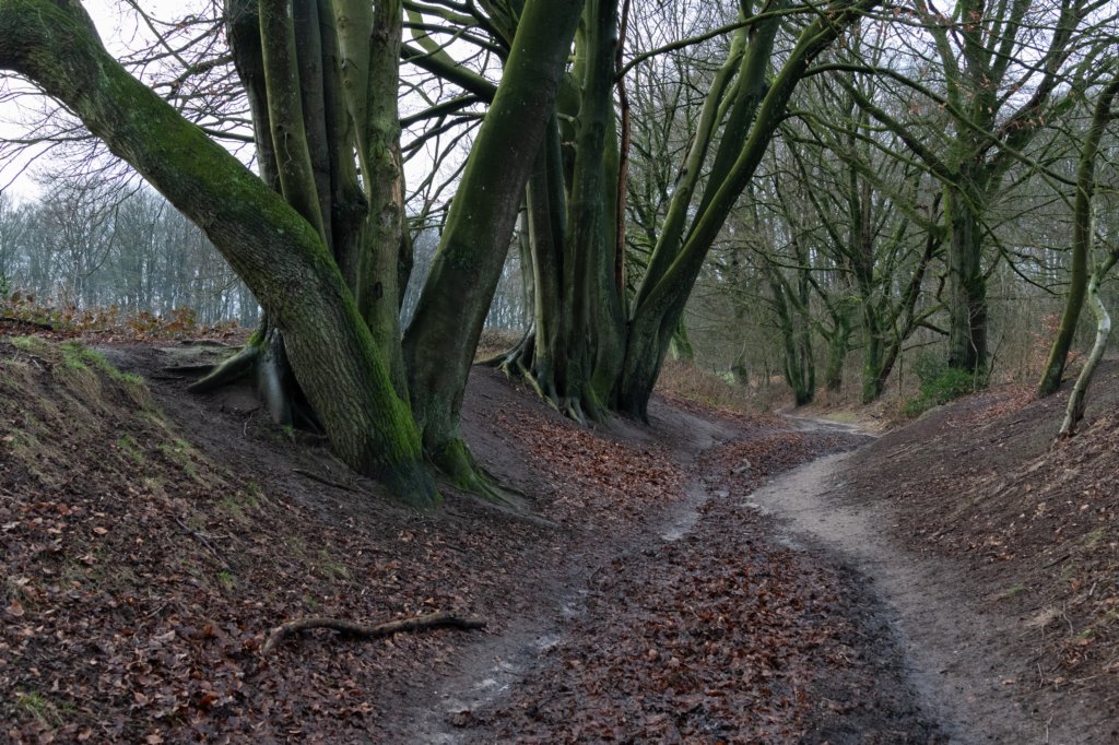 arnhemprrheden_039.jpg