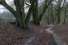 arnhemprrheden_039_small.jpg