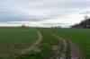 arnhemprrheden_041_small.jpg