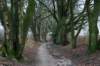 arnhemprrheden_042_small.jpg