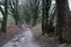 arnhemprrheden_043_small.jpg