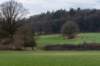 arnhemprrheden_046_small.jpg