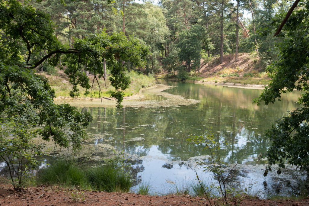 driebergenrond_003.jpg