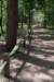 driebergenrond_004_small.jpg