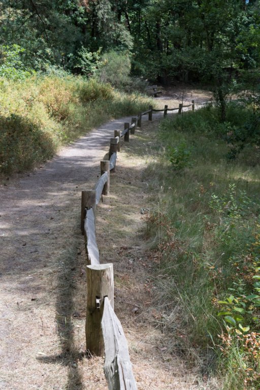 driebergenrond_005.jpg