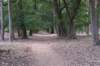 driebergenrond_008_small.jpg