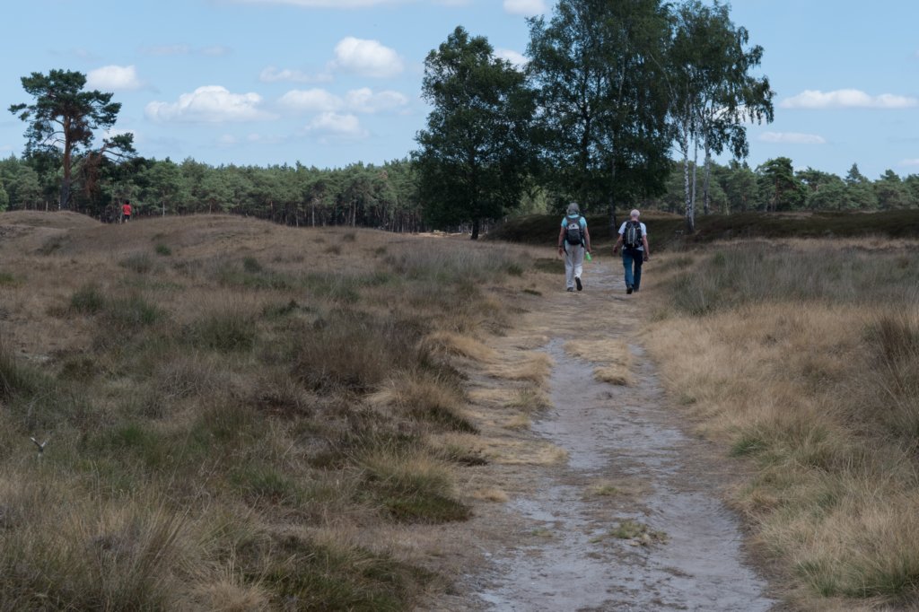 driebergenrond_009.jpg