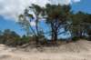 driebergenrond_015_small.jpg