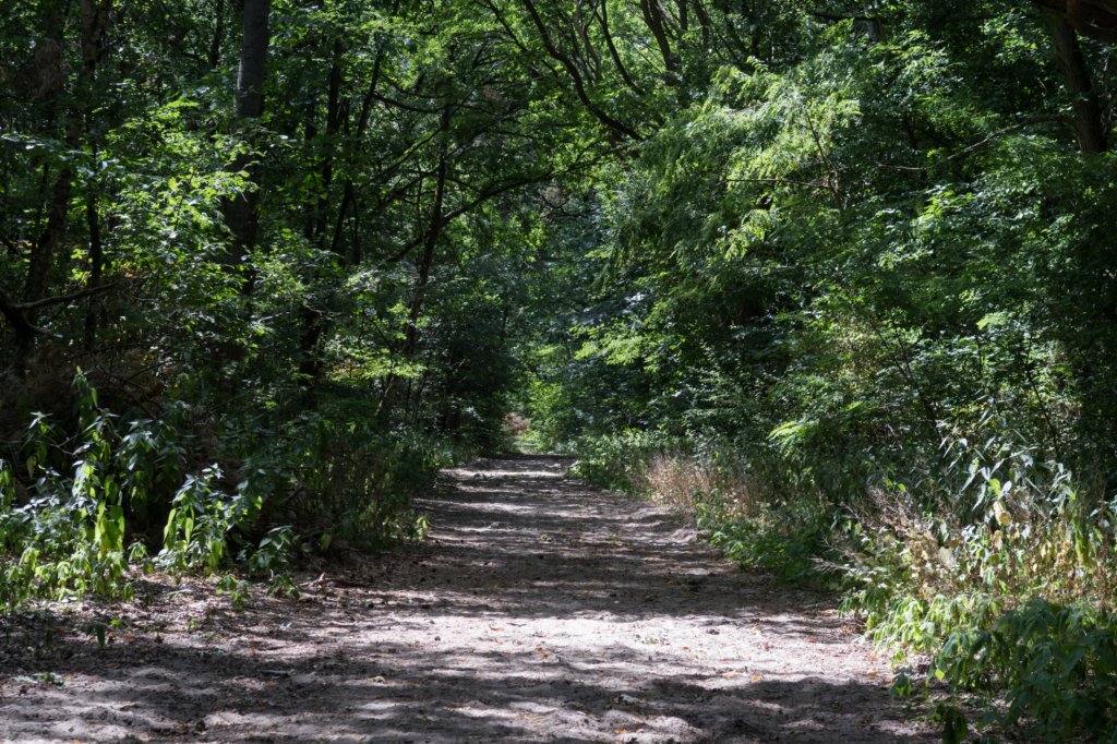 driebergenrond_017.jpg