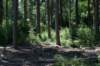 driebergenrond_019_small.jpg