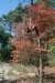 driebergenrond_022_small.jpg