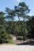 driebergenrond_023_small.jpg