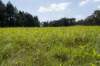 driebergenrond_029_small.jpg