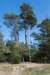 driebergenrond_030_small.jpg