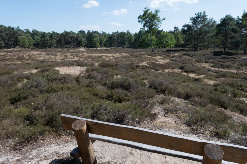 driebergenrond_031.jpg