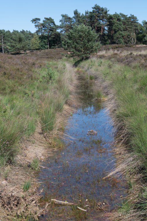 driebergenrond_033.jpg