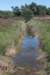 driebergenrond_033_small.jpg