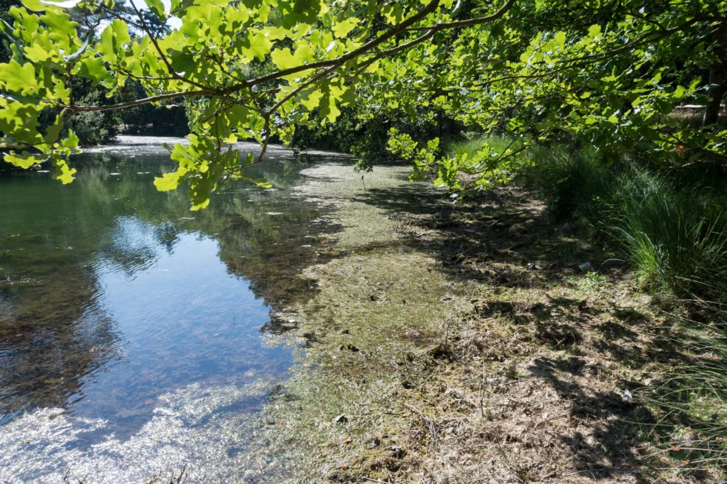 driebergenrond_039.jpg