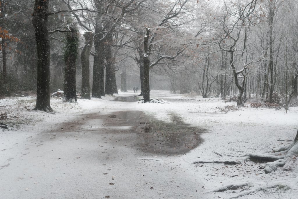 baarn_002.jpg