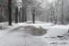 baarn_002_small.jpg