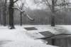 baarn_004_small.jpg