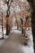 baarn_007_small.jpg