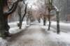 baarn_008_small.jpg