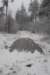 baarn_011_small.jpg