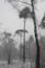 baarn_012_small.jpg