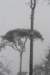 baarn_013_small.jpg