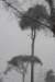 baarn_014_small.jpg