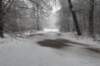baarn_016_small.jpg