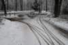 baarn_017_small.jpg