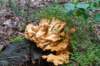 baarn3_002_small.jpg