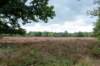 baarn3_004_small.jpg
