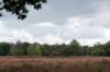 baarn3_005_small.jpg