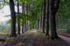 baarn3_006_small.jpg