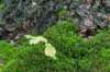 baarn3_007_small.jpg