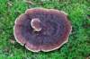 baarn3_008_small.jpg