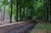 baarn3_009_small.jpg