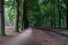 baarn3_010_small.jpg