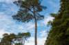 baarn3_012_small.jpg