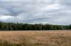 baarn3_014_small.jpg