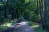 baarn3_015_small.jpg