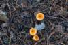 baarn3_016_small.jpg
