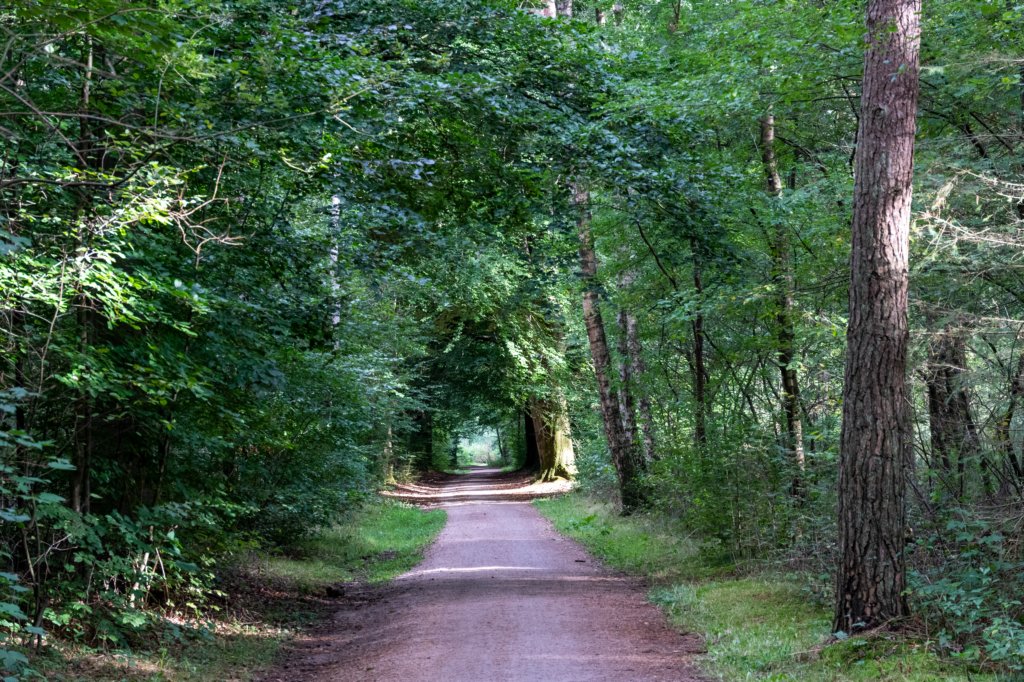 baarn3_019.jpg