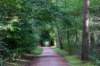 baarn3_019_small.jpg